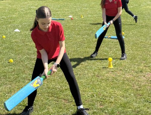 Schools Cricket Day