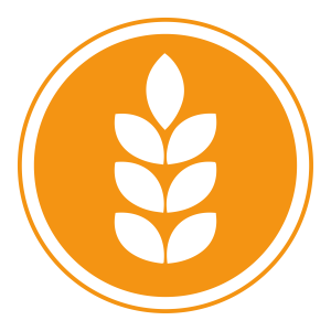 GLUTEN